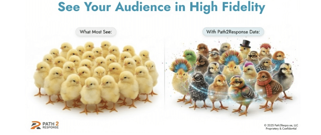 audience in high fidelity