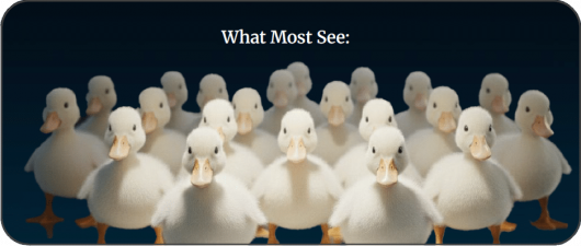 What most see